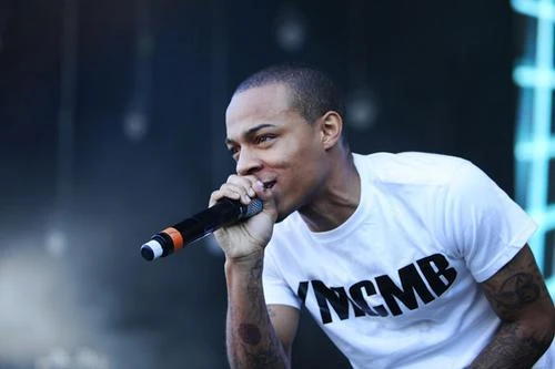 Crowd at a Bow Wow show